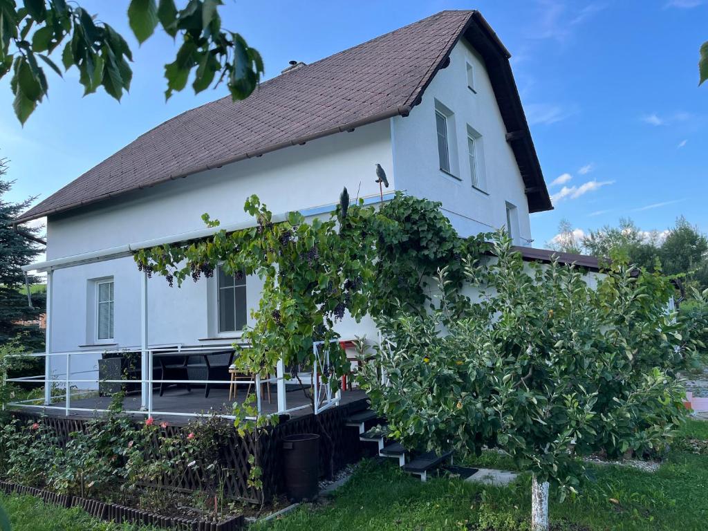 Na Kovárně photo 3