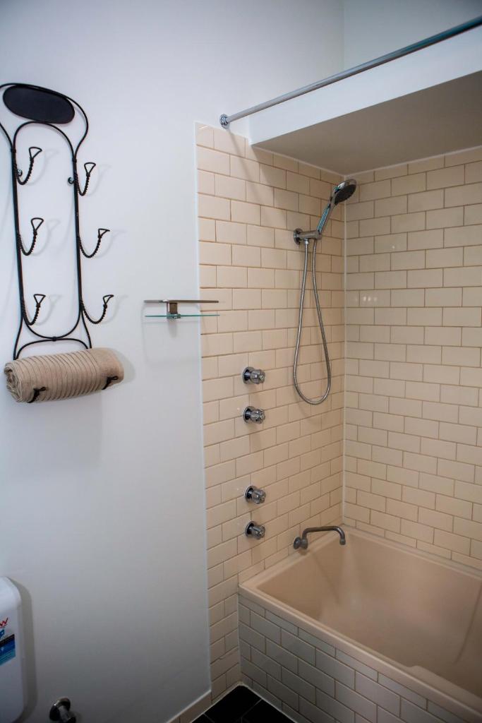 Lovely Studio Apartment in Downtown Albany photo 2