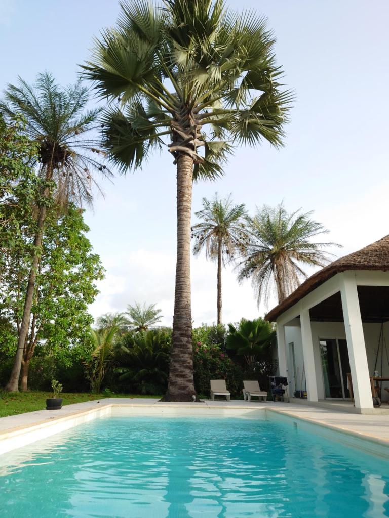 Villa Cap Ouest Piscine Grand Jardin à 2 Pas de l'Océan photo 3