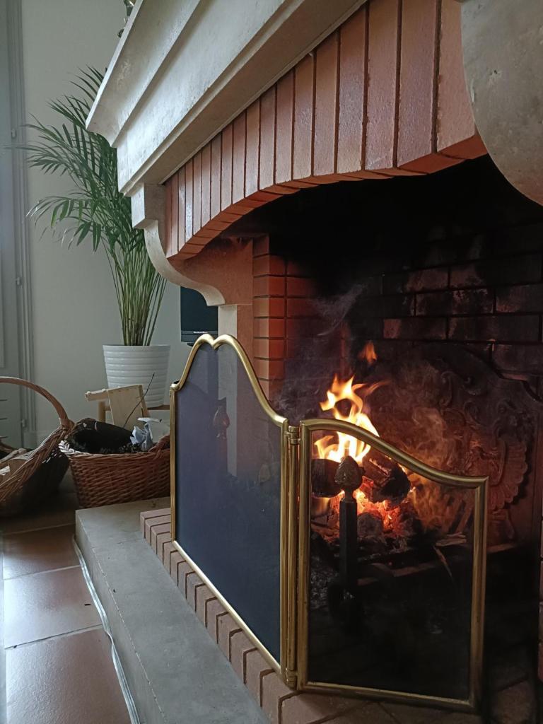 Maison et Florescence photo 4