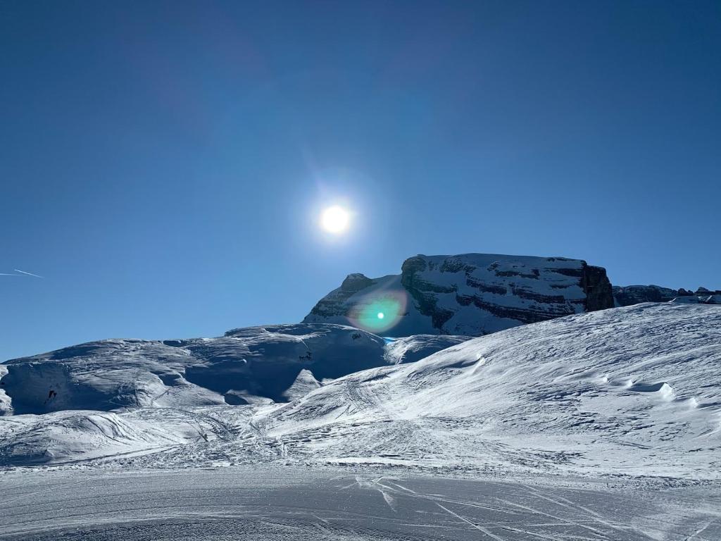 Des Alpes C Flat 11 photo 1
