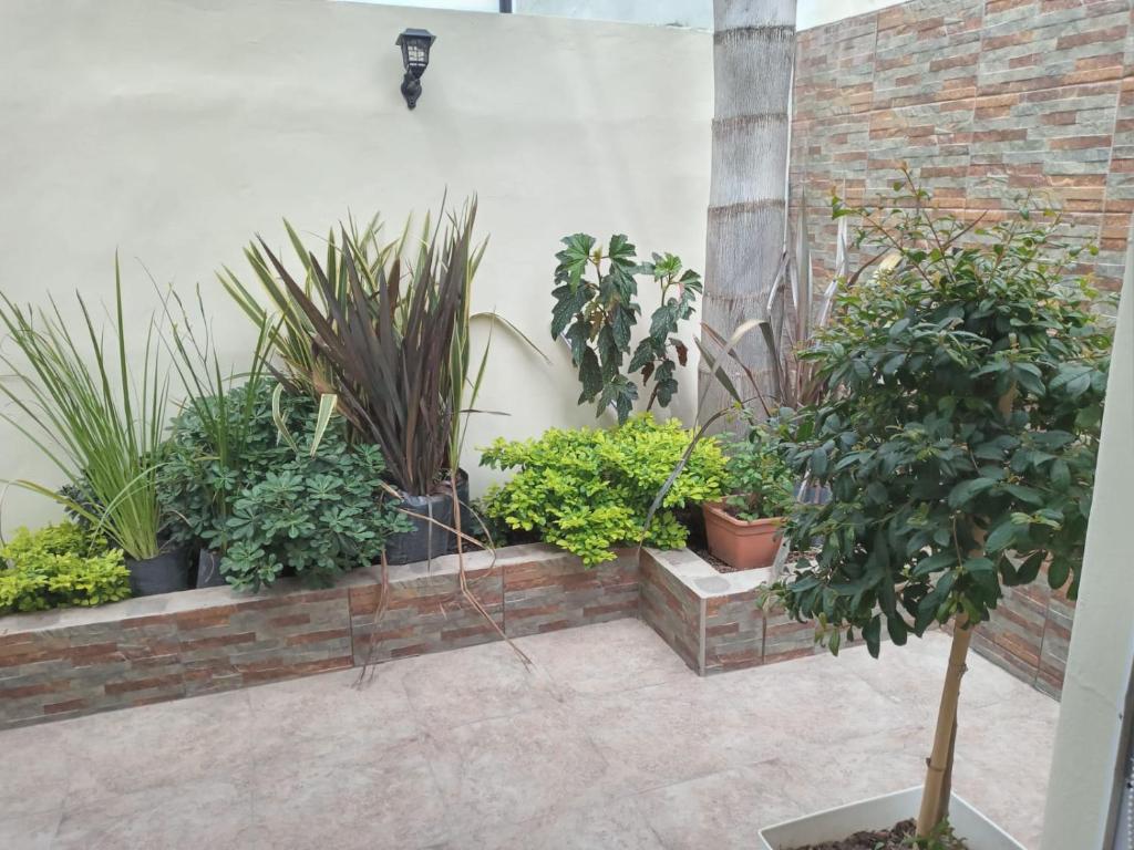Lucipri photo 3