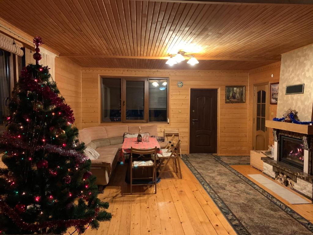 Chalet TysaBorkut photo 2