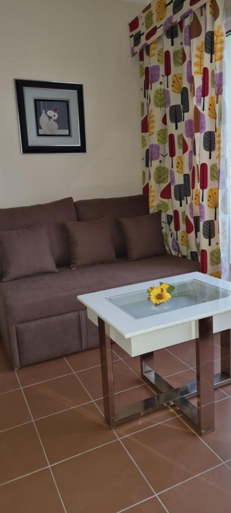 Private Furnished One-Bedroom Apartment at Domina Coral Bay - Block 34 photo 1