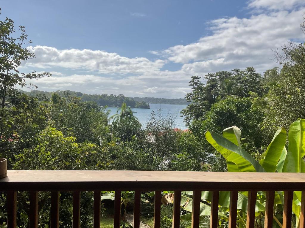 Pretty house Bastimentos Bocas del toro photo 3