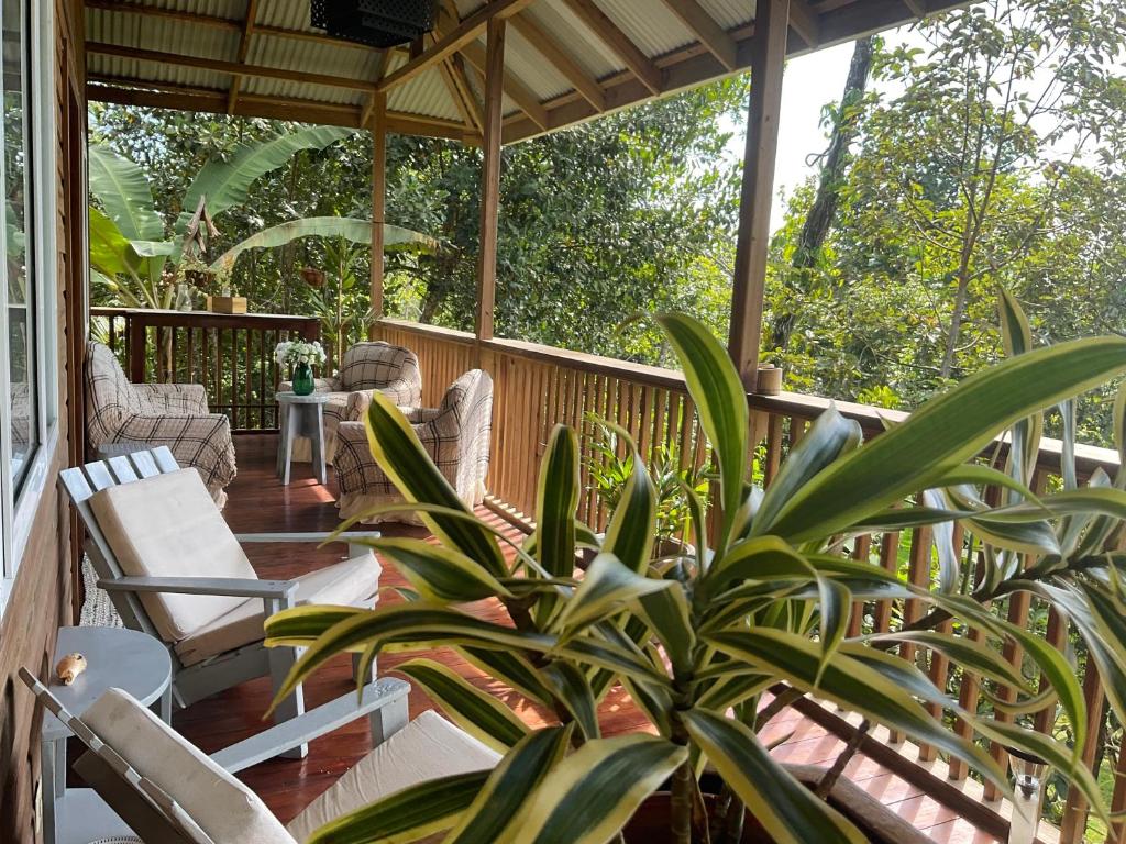 Pretty house Bastimentos Bocas del toro photo 1