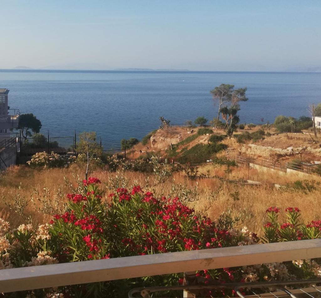 kineta Sunny Beach photo 2
