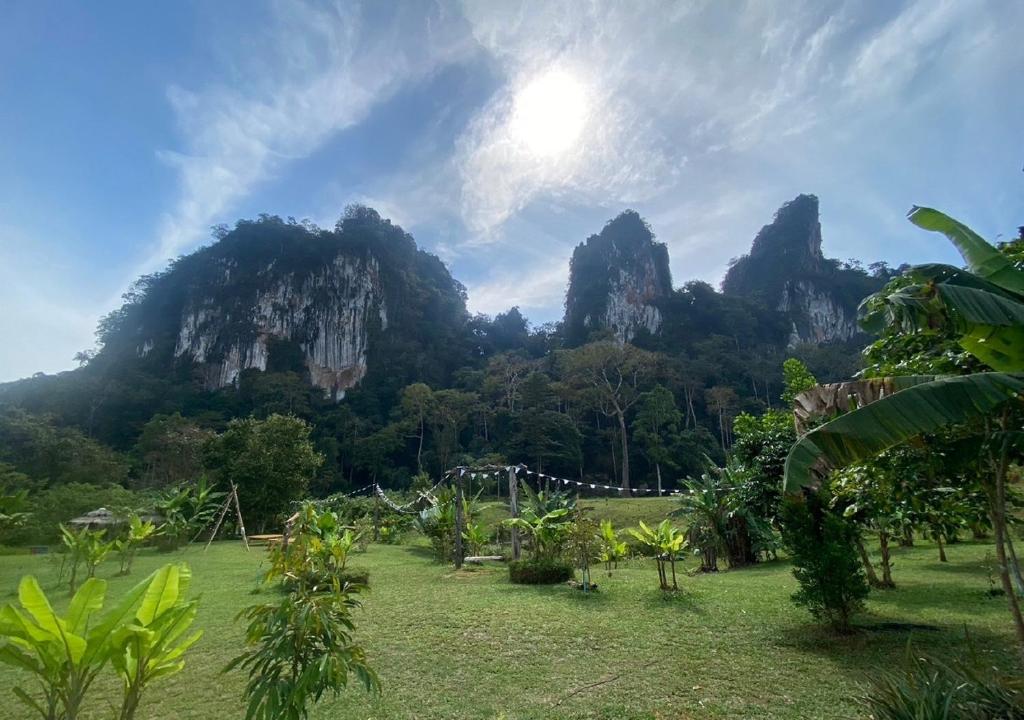 Cosy Garden Khao Sok photo 1