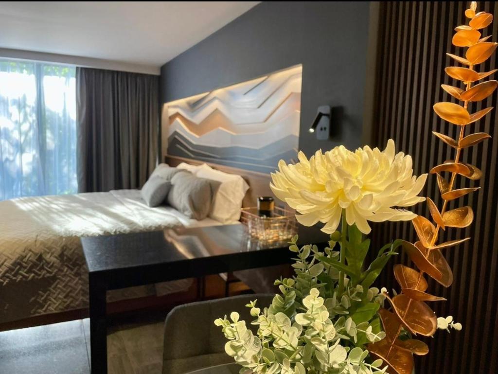 BUSINESS SUITES MINE photo 4