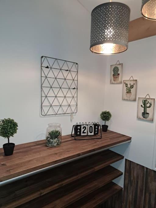 Studio dans maison avec jardin et balcon, au calme photo 3