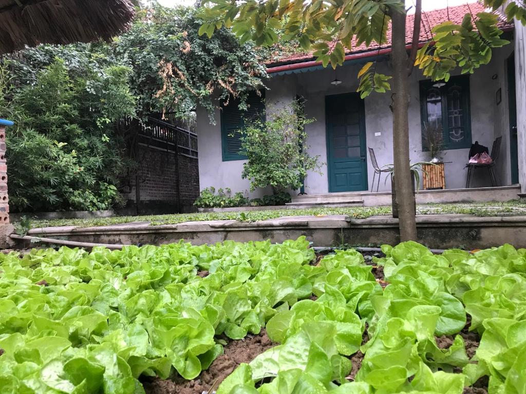 Tam Coc Eco House