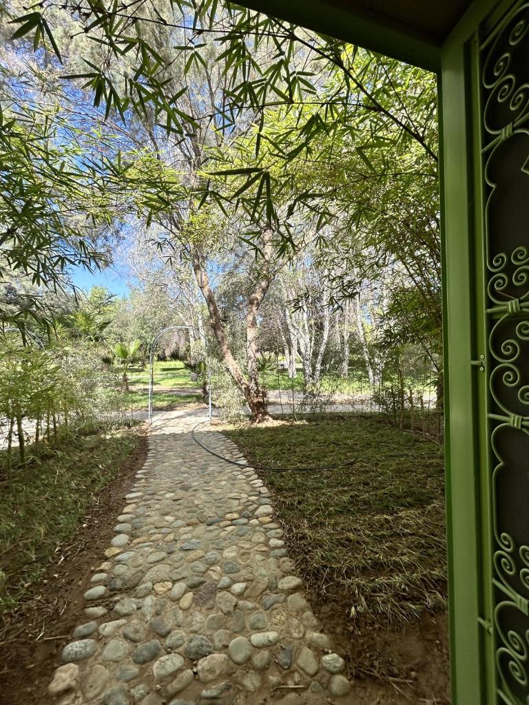 Palais Claudio Bravo photo 2