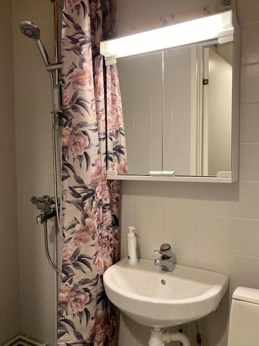 Viehättävä asunto Heinolan keskustassa photo 4