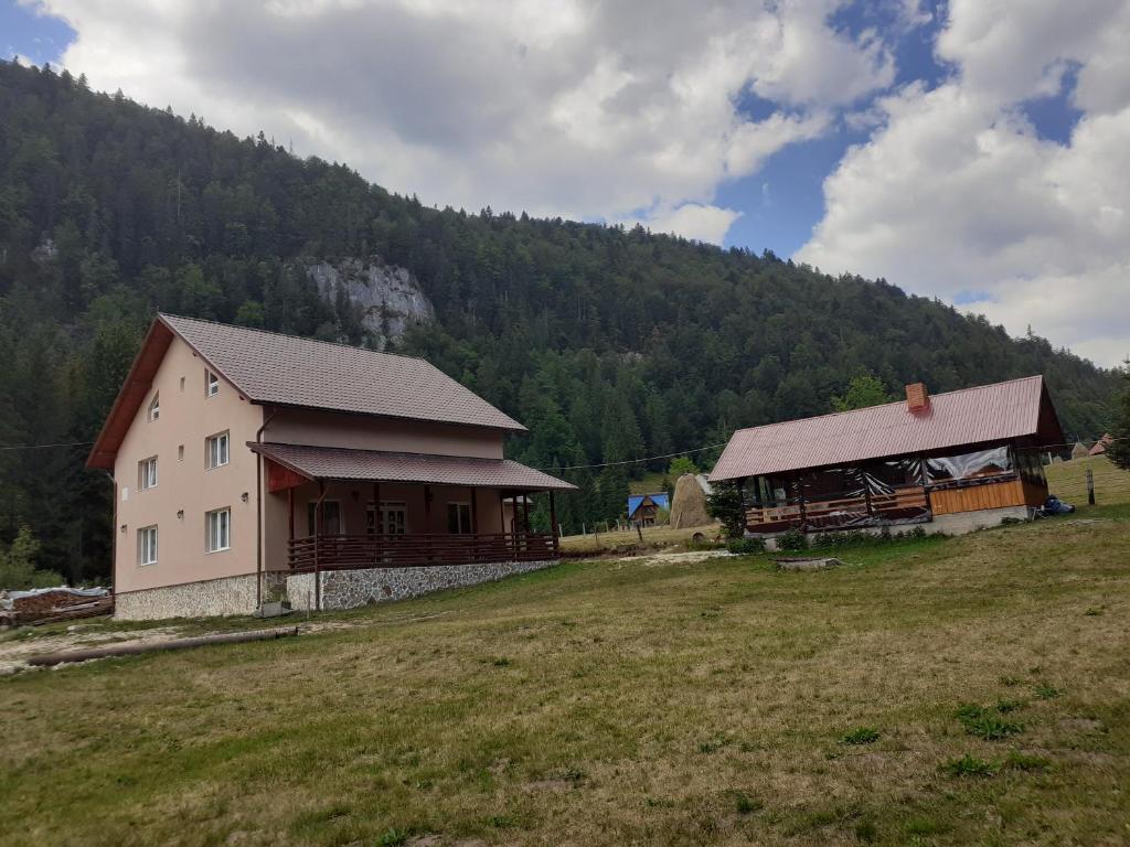 Cabana Colț de Rai photo 3