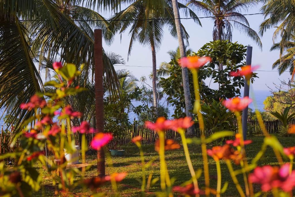 Tehan Homestay photo 4