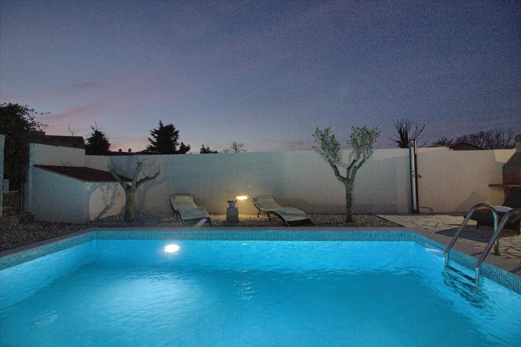 Cozy villa Michelle with private pool near Pula photo 1