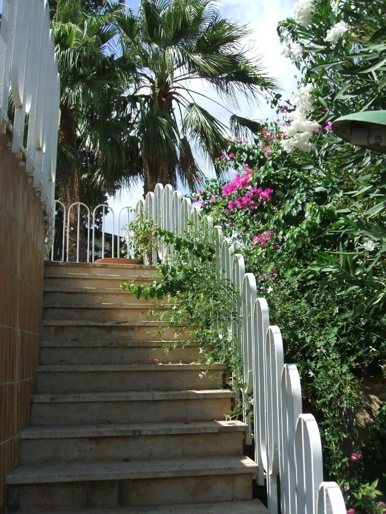 Villa Aliotis photo 3