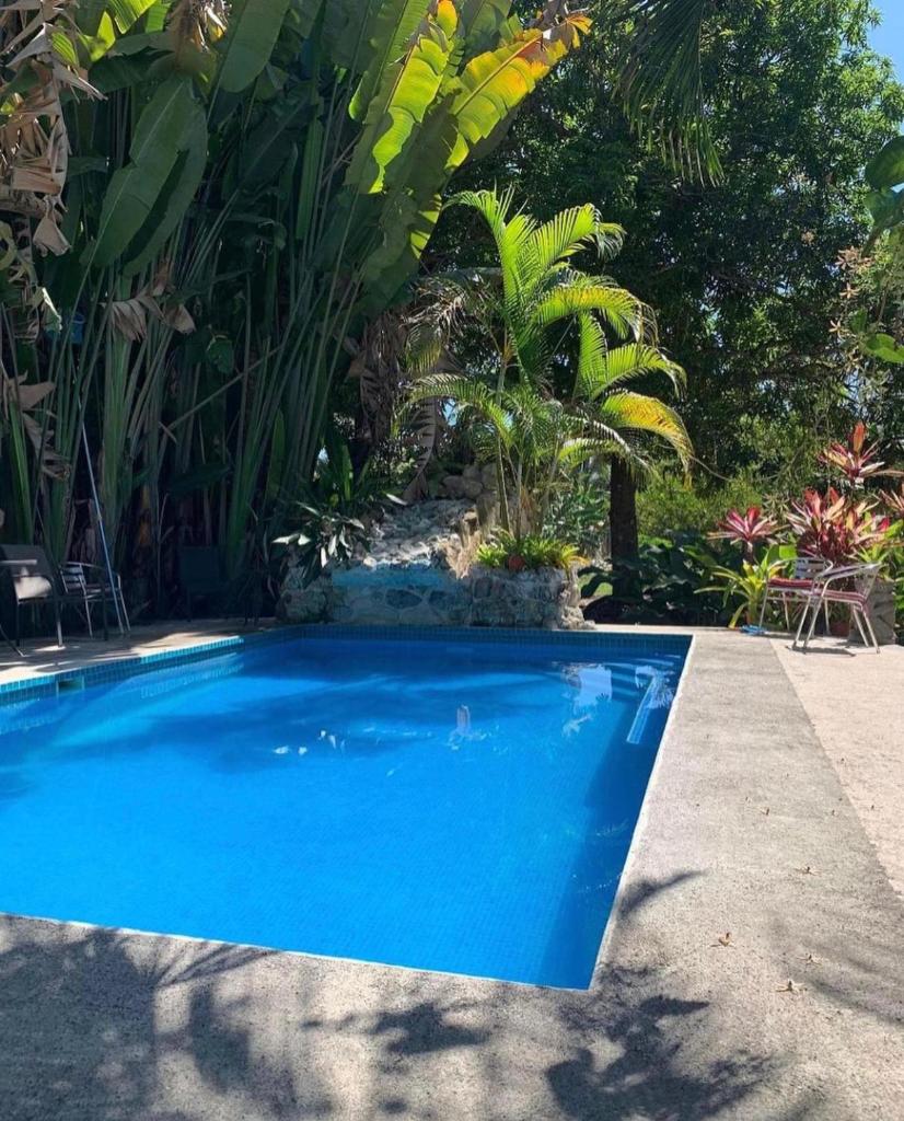 Casa Morpho Azul photo 2