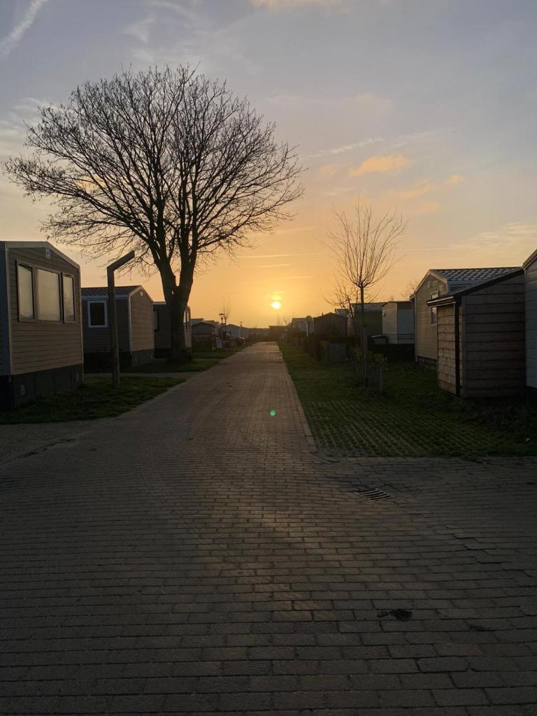 Oostkapelle Chalet JD 56 In de Bongerd
