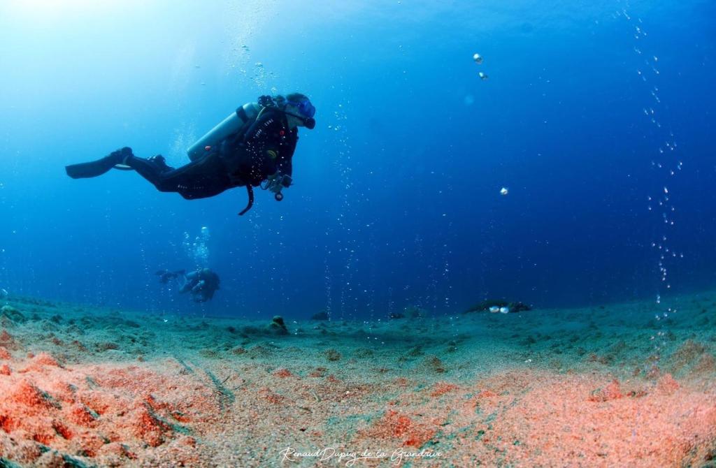 La Tortue Diving Resort Dauin photo 2