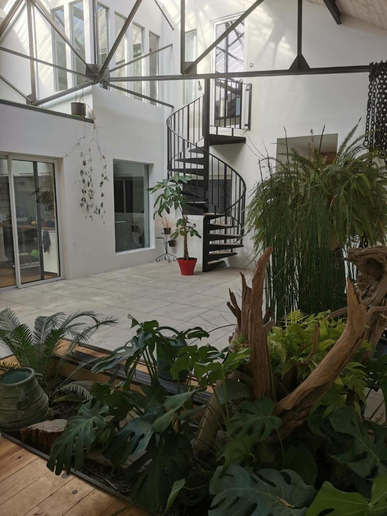 Shamshouse/Garage photo 2