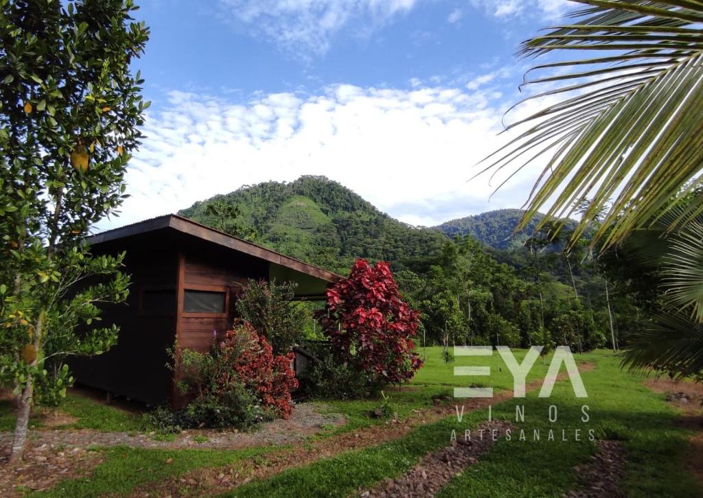 EYA Ecolodge photo 3