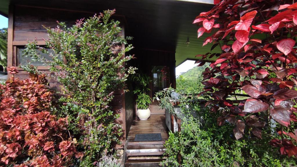EYA Ecolodge photo 2