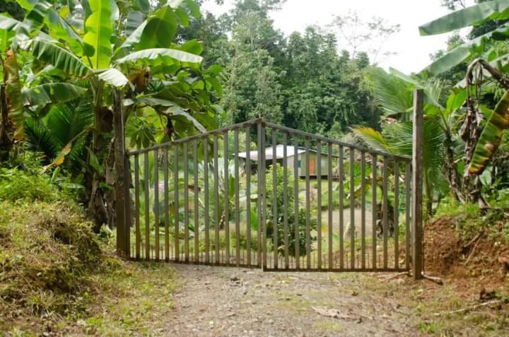 Casa Congo photo 4