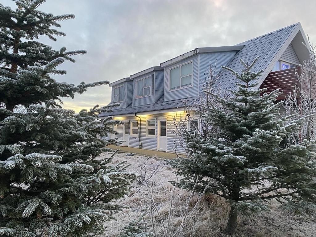 Motel Arctic Wind