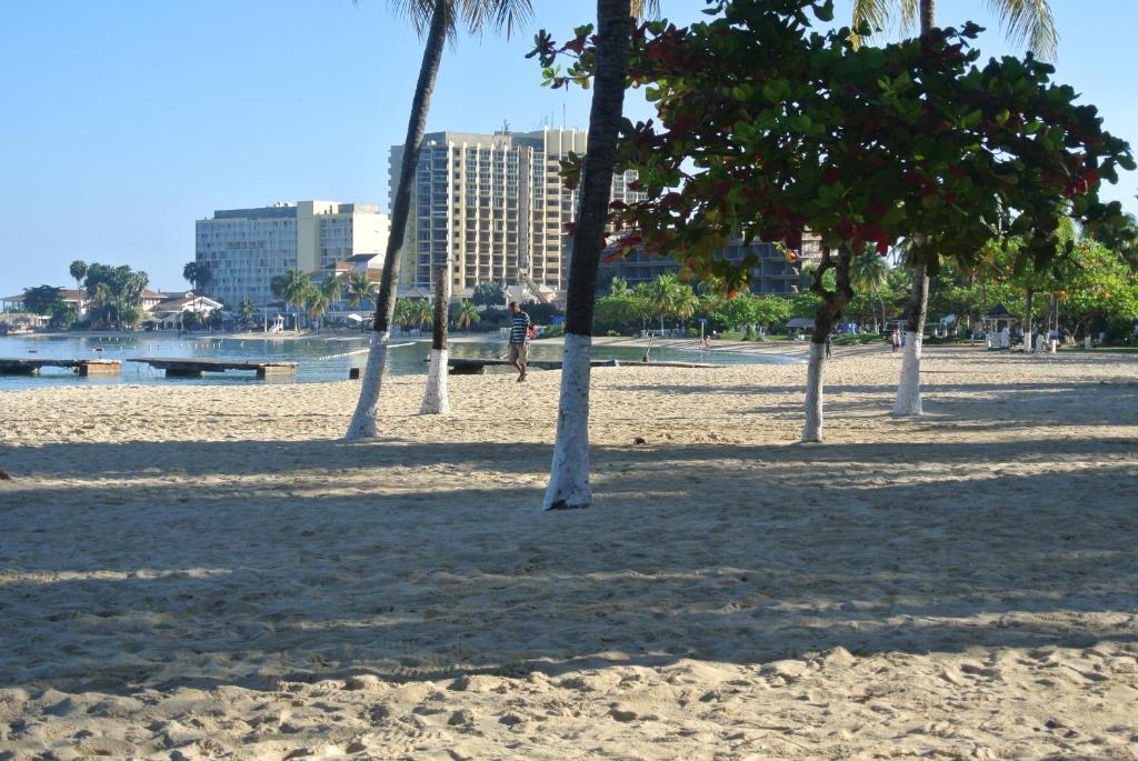 Beach Studio 4 photo 3