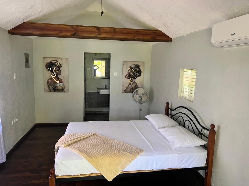 Jamaica Colors Hotel and Eco-Retreat photo 1