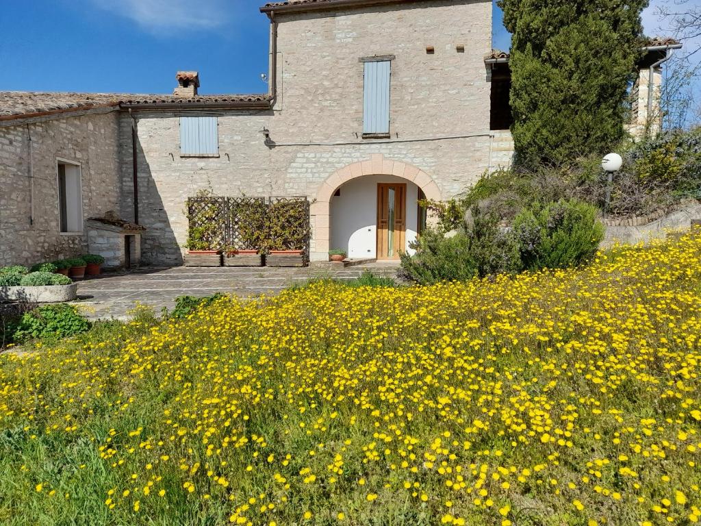 Agriturismo del Frontino - Lo Studio photo 1