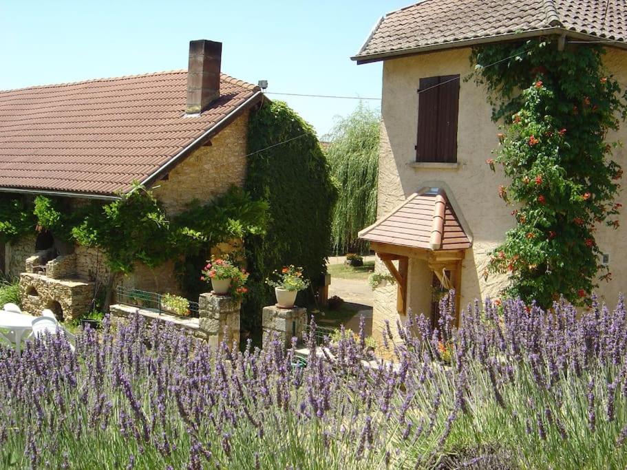 Maison traditionnelle au coeur d'une ferme