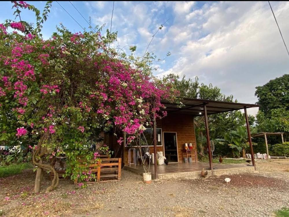 Hacienda CacaoyMango photo 4