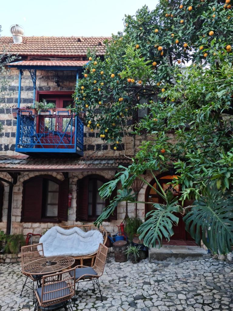וילה תהילה המחודש - The new Villa Tehila photo 4