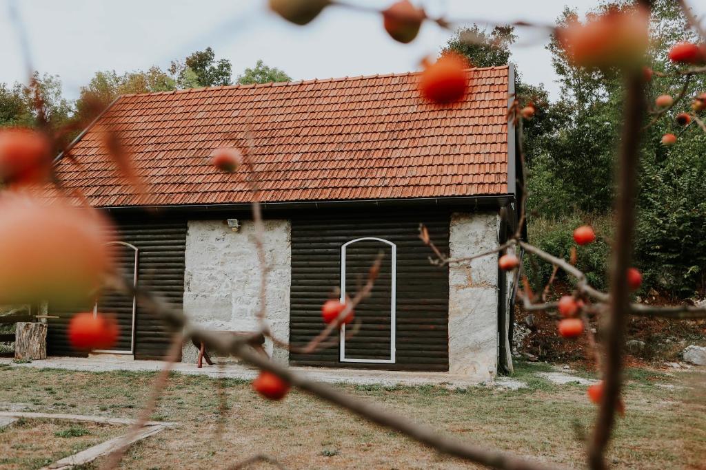Holiday home Palo santo photo 3
