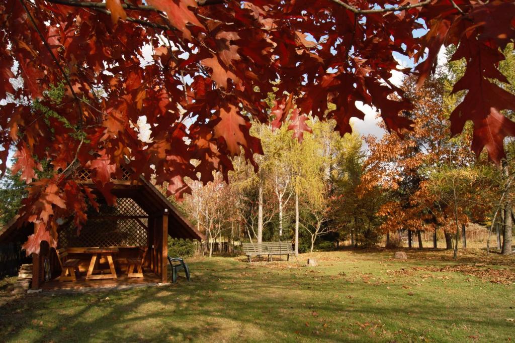 Agroturystyka Łączka photo 3