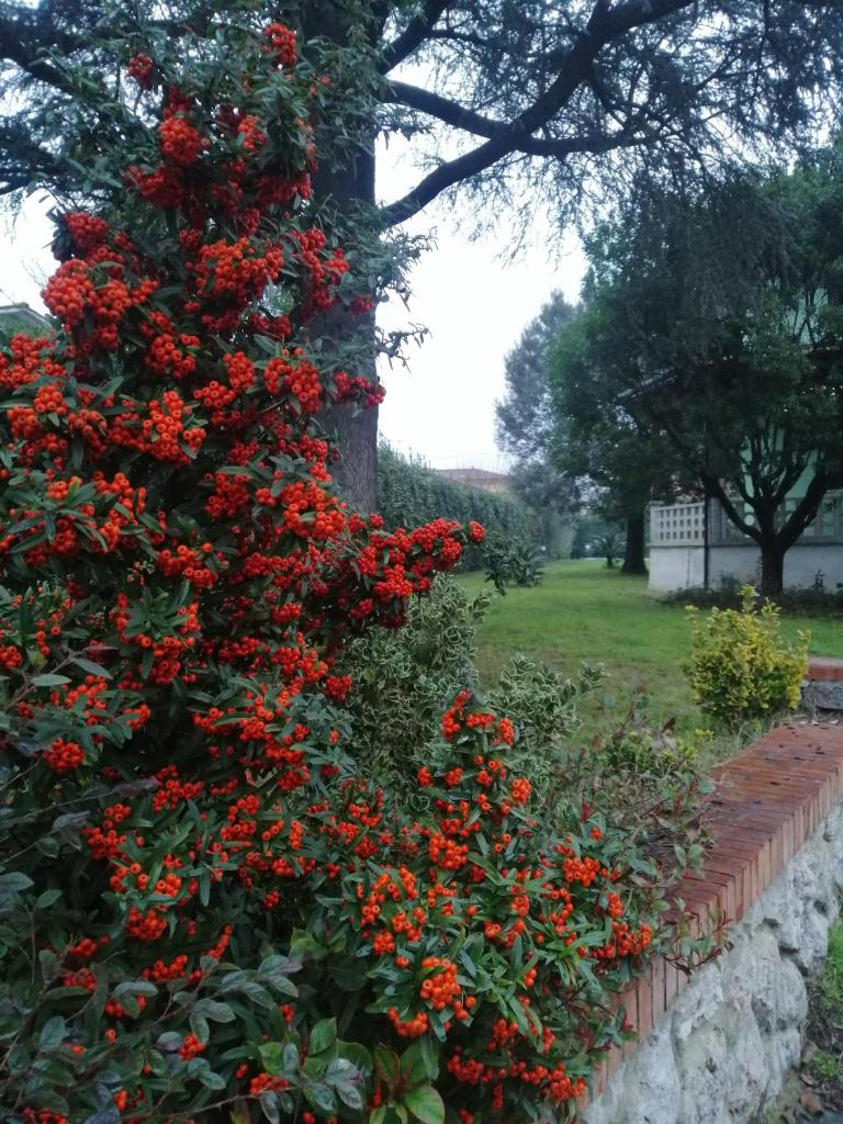 Villa Franco photo 4