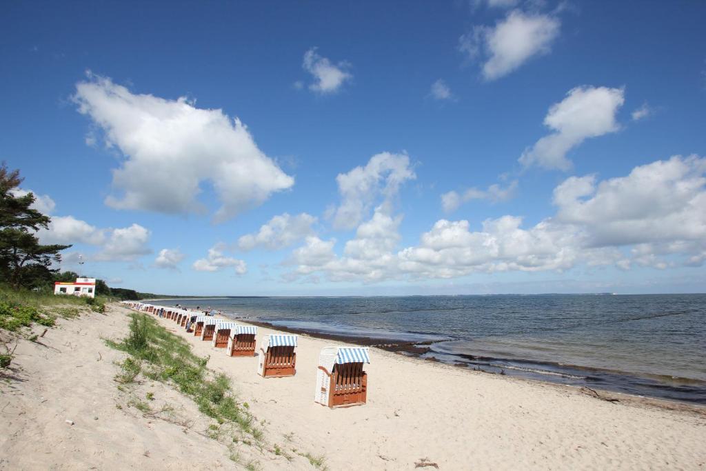 viel Natur, idyllische Umgebung, ruhige Lage - Ferienpark Neddesitz FeWo 299 photo 1