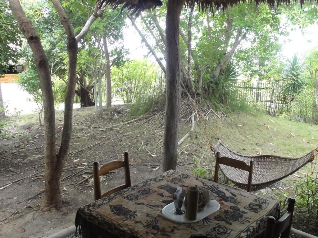 Sea Turtle House Moalboal photo 1