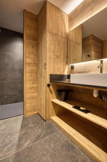 Magnifique appartement dans luxueux chalet - ARAVIS photo 2