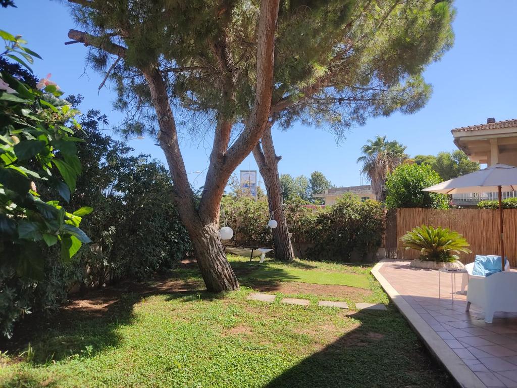 Playa Vacation House photo 4