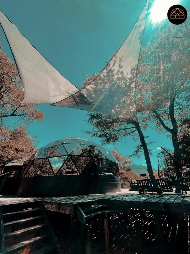 Black Domes