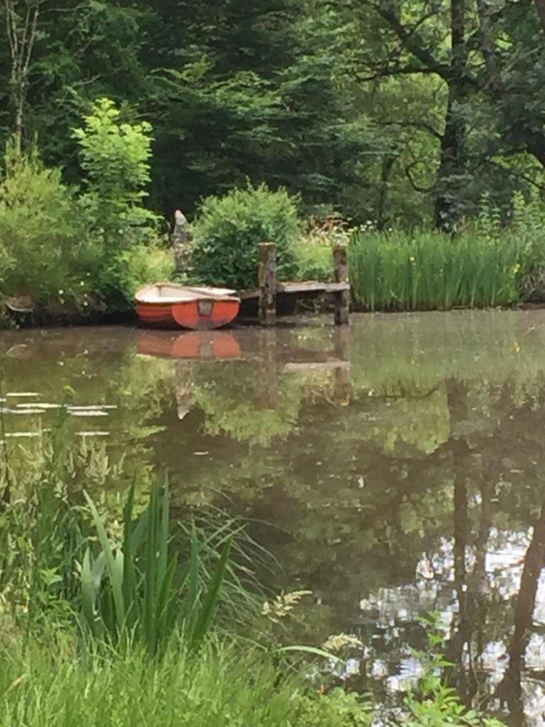 Le Gite du Petit Renard: A Tranquil Gite with pool photo 2