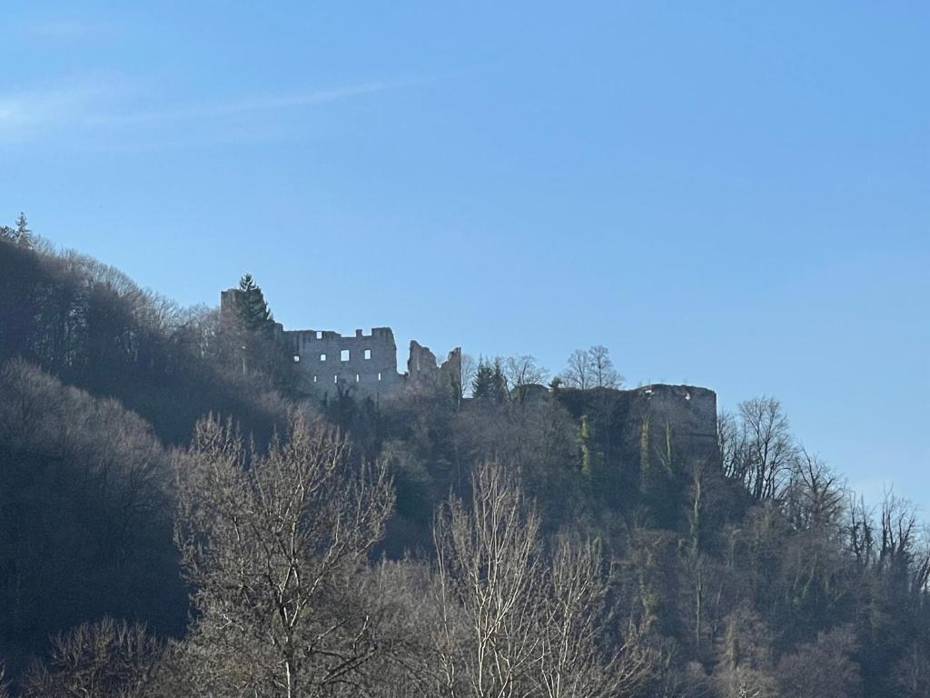 Apartmani "Stari Grad - Samobor" photo 2