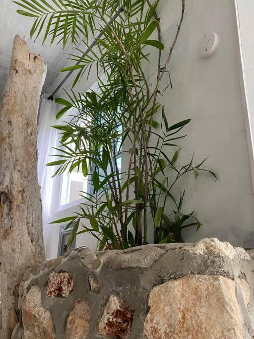 Forever Beach Apartment photo 2