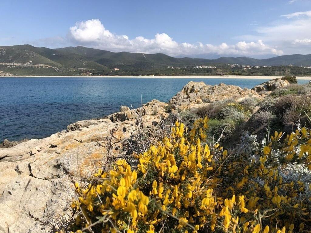 Villa Agliastru à 900m de la plage de Lozari photo 3
