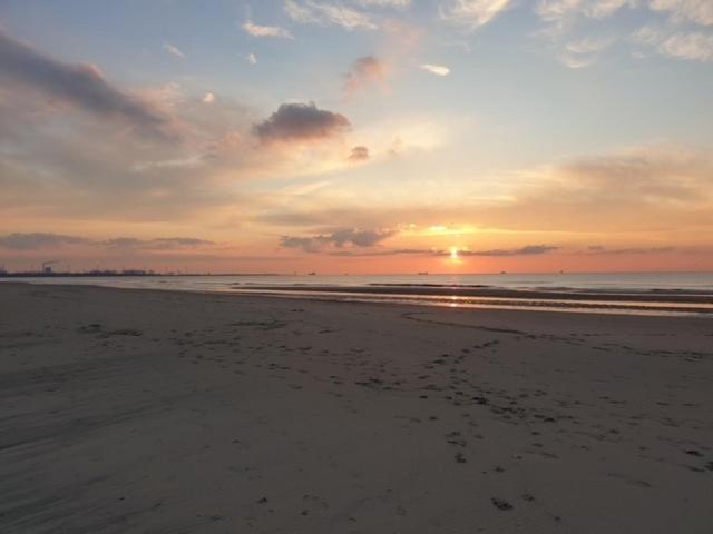 Strandcamping Jagtveld photo 3