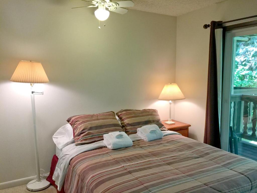 #09 - Snowline Lodge image