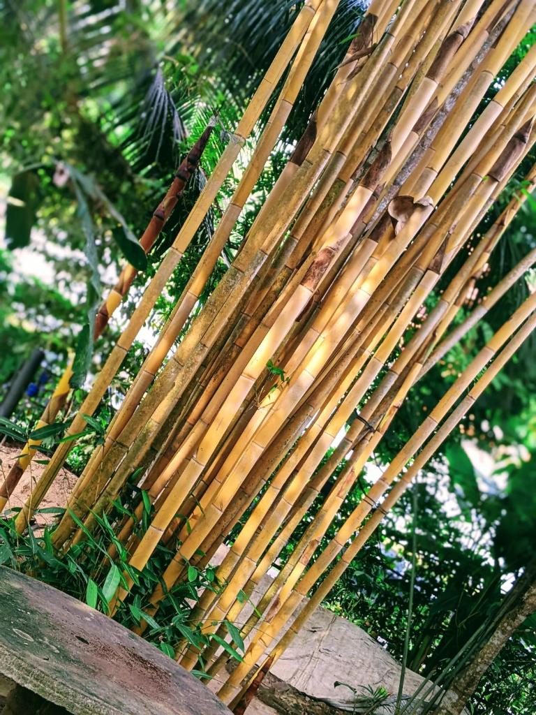 House of Heaven photo 4